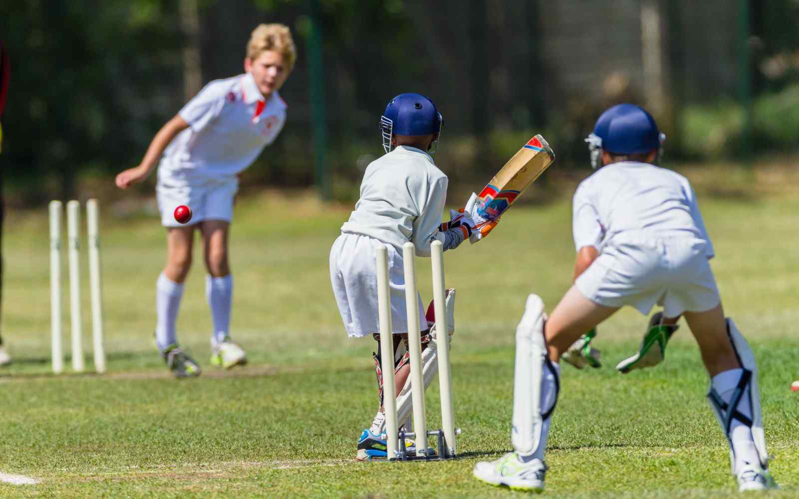 After School Programs (Term 1)
